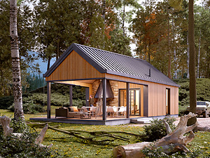 Projekt domu Jaskier dr-S