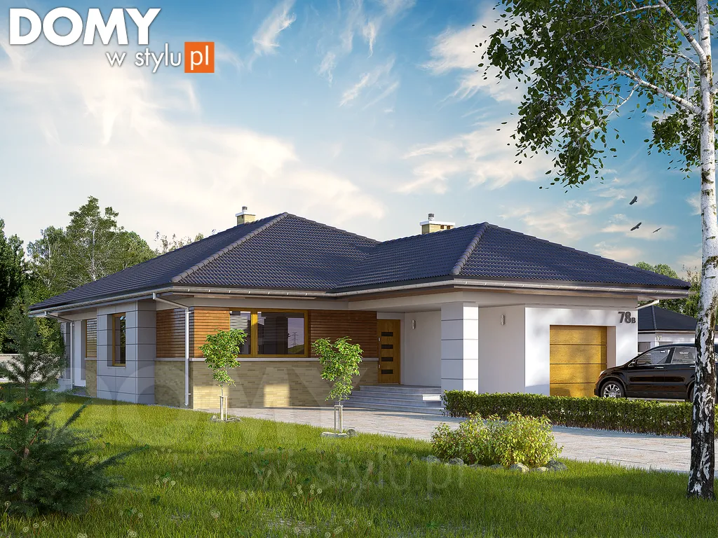 Nowoczesny projekt domu parterowego Aster 2 - wizualizacja frontowa