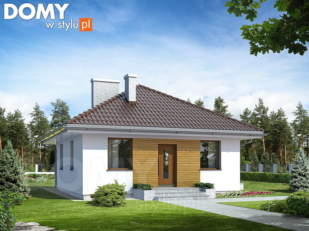 Nowoczesny projekt domu parterowego Imbir - wizualizacja frontowa