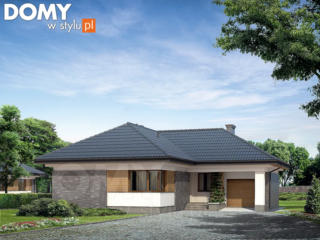 Nowoczesny projekt domu parterowego Neptun 4 - wizualizacja frontowa