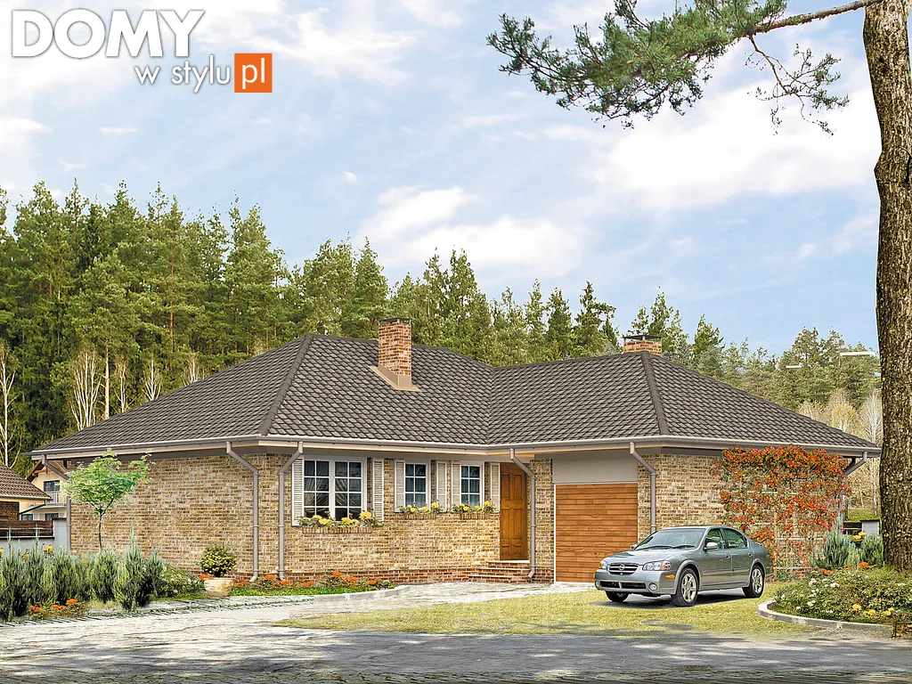 Projekt domu Neptun dr-C - wizualizacja frontowa