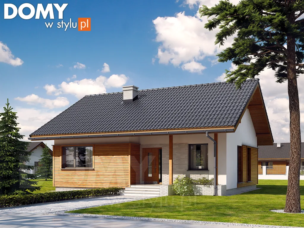 Nowoczesny projekt domu parterowego Sepia - wizualizacja frontowa