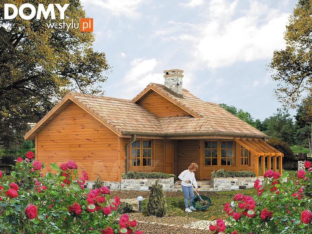 Projekt domu letniskowego drewnianego Szyper 6 dr-S - wizualizacja frontowa