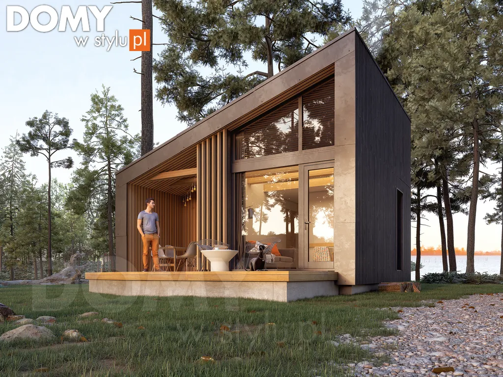 Nowoczesny projekt domu letniskowego drewnianego Szyszka 3 dr-S - wizualizacja frontowa