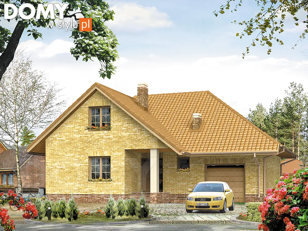 Projekt domu Wiking 2 - wizualizacja frontowa