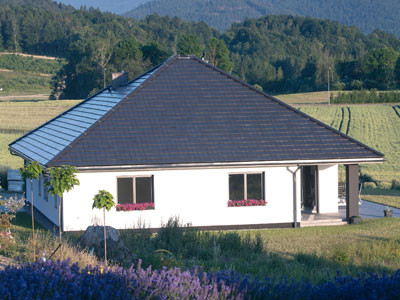 Ariel - … nic mi więcej nie potrzeba