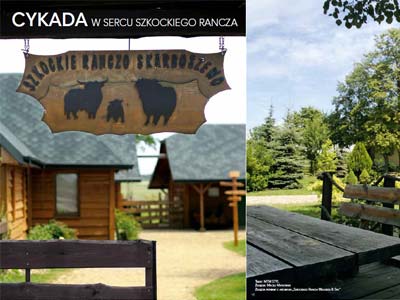 Cykada w sercu szkockiego rancza